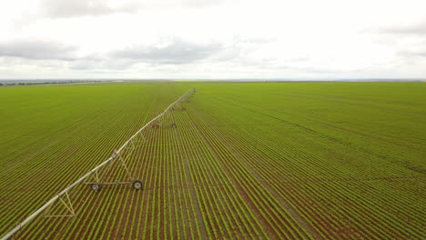 Toma-Aérea-De-Un-Sistema-De-Riego-Industrial-En-Un-Campo-De-Cultivo-En-Sudamérica