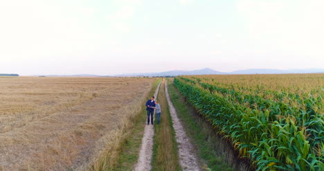 Aerial-View-Of-Growing-Corn-On-Agriculture-Field-Farmers-Walking-At-Agricultural-Field-3