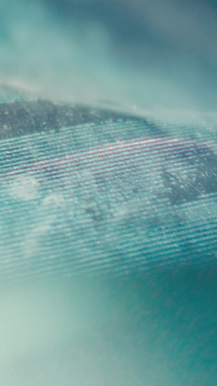 Close Up of Light Reflecting on Textured Shimmering Surface