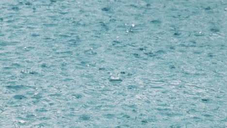 close-up view of raindrops impacting a water body