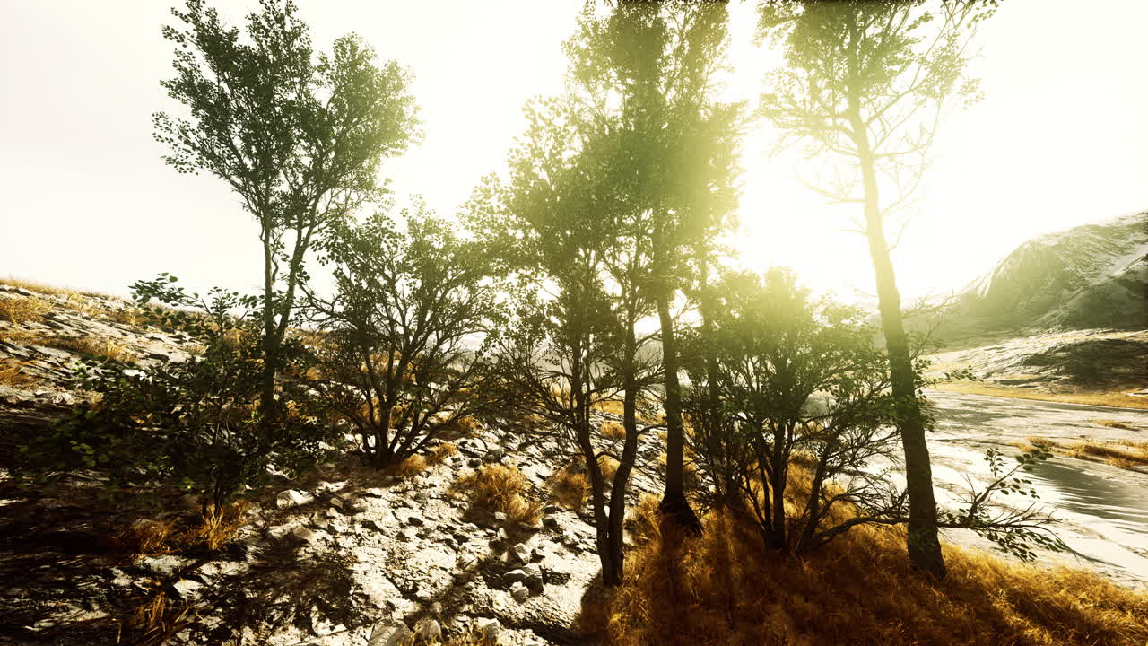 ⁇ 은 날에 가파른 절벽과 나무가 있는 경치 좋은 풍경