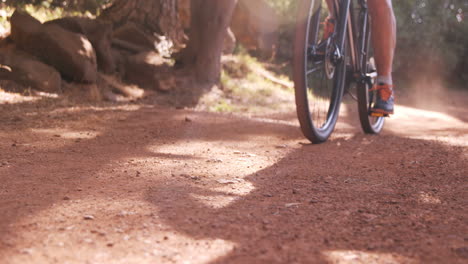 Cyclist-cycling-through-forest