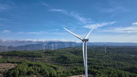 Erstaunlicher-Windturbinenpark-In-Einem-Bergwald