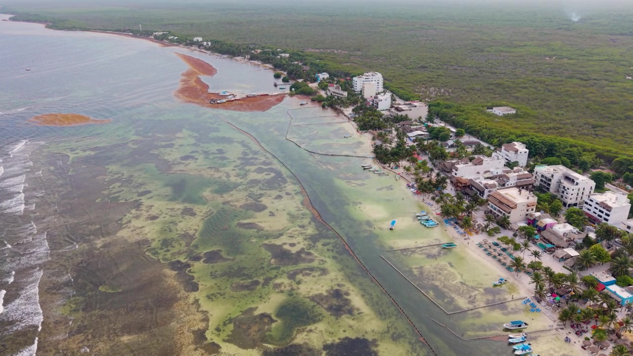 Drone-panoraama Mahahualin rannikosta sargassum-kaudella.