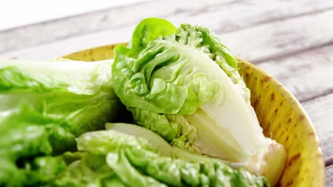 Close-up-of-lettuce-in-bowl