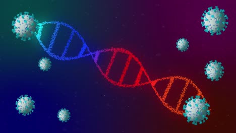 Animation-of-covid-19-cells-moving-and-dna-strand-spinning