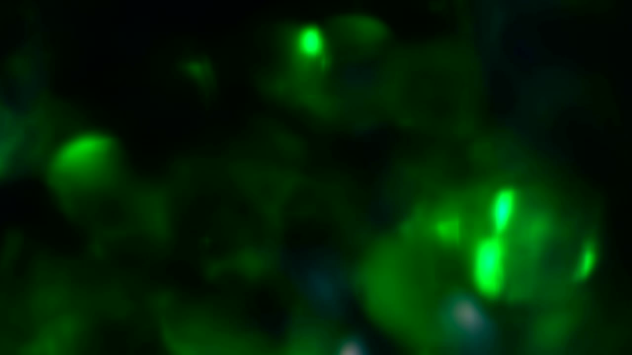 fondo abstracto con manchas de luz multicolores en movimiento.