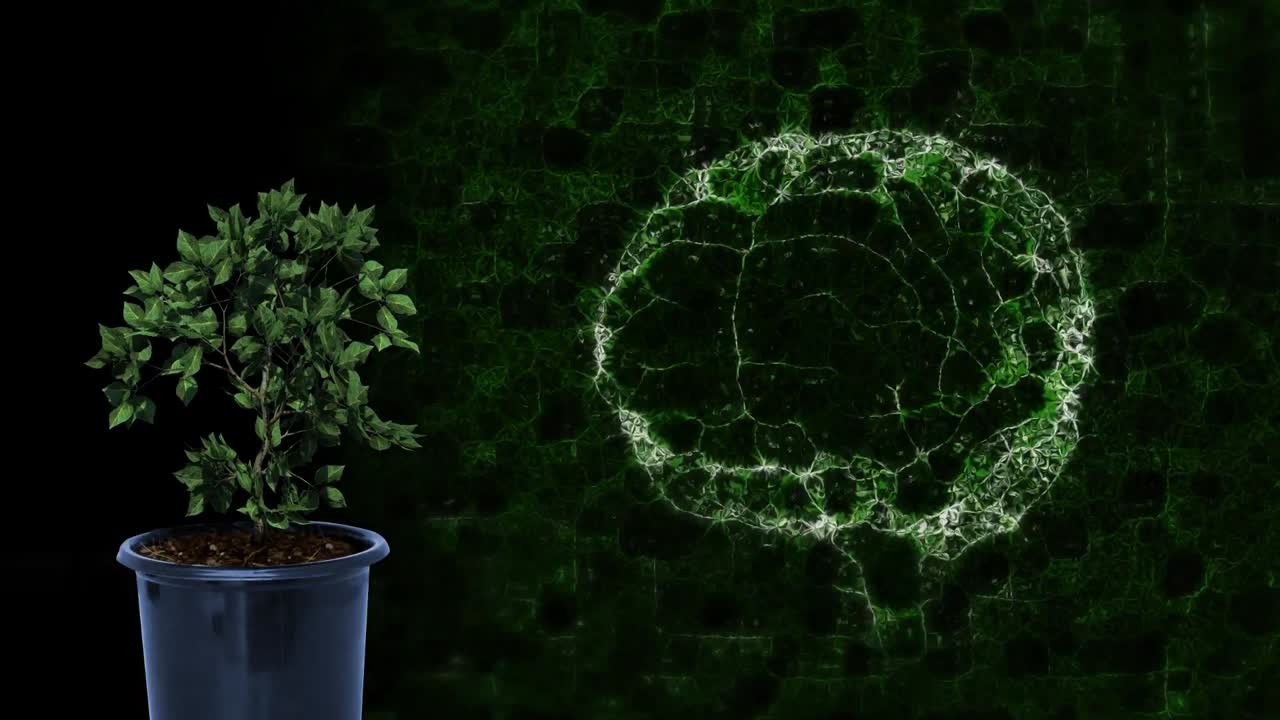 animación del cerebro girando sobre un fondo negro con una planta