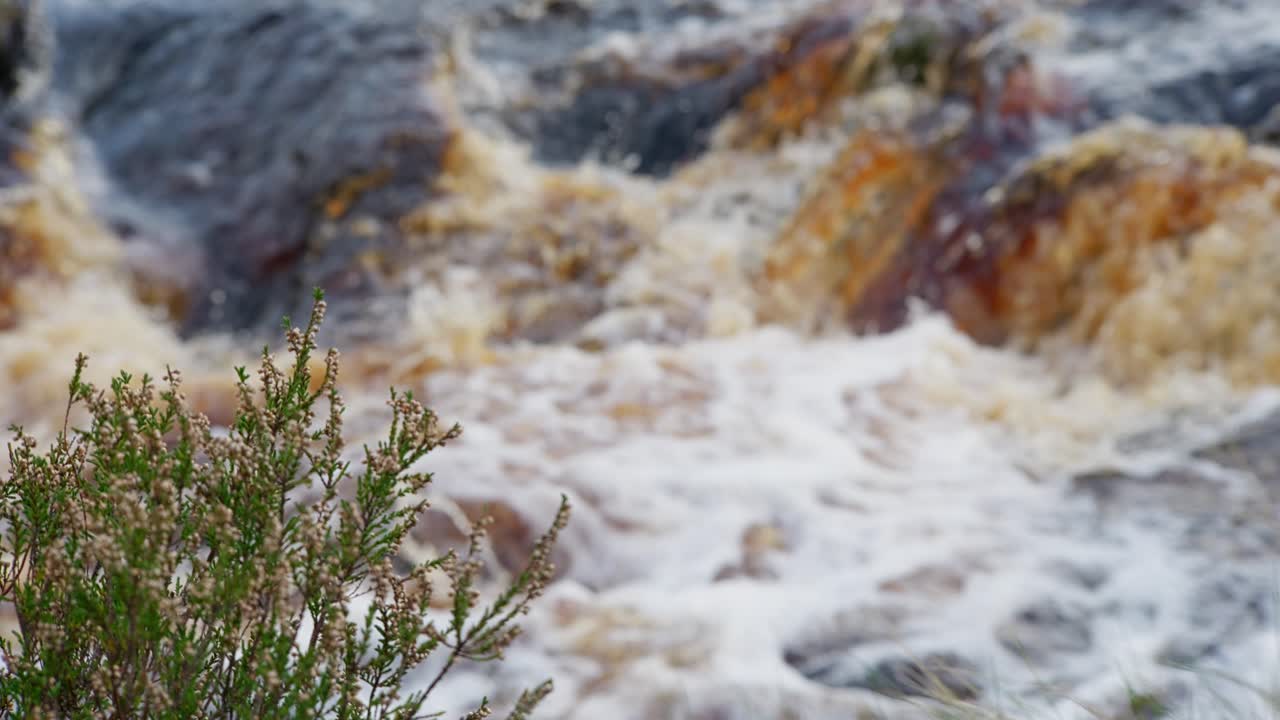 Peaceful woodland scene in autumn and winter, a gentle stream flows over rocks, forming small waterfalls