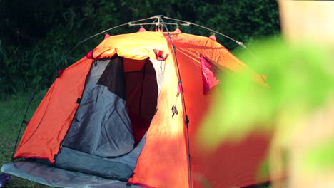 Orangefarbenes-Zelt-Im-Wald,-Das-Hinter-Ästen-Aufgedeckt-Wird