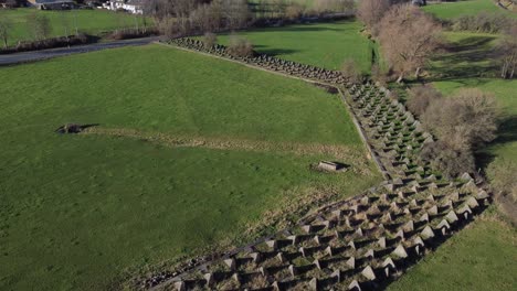 Siegfried-Line,-also-known-as-Dragon-Teeth