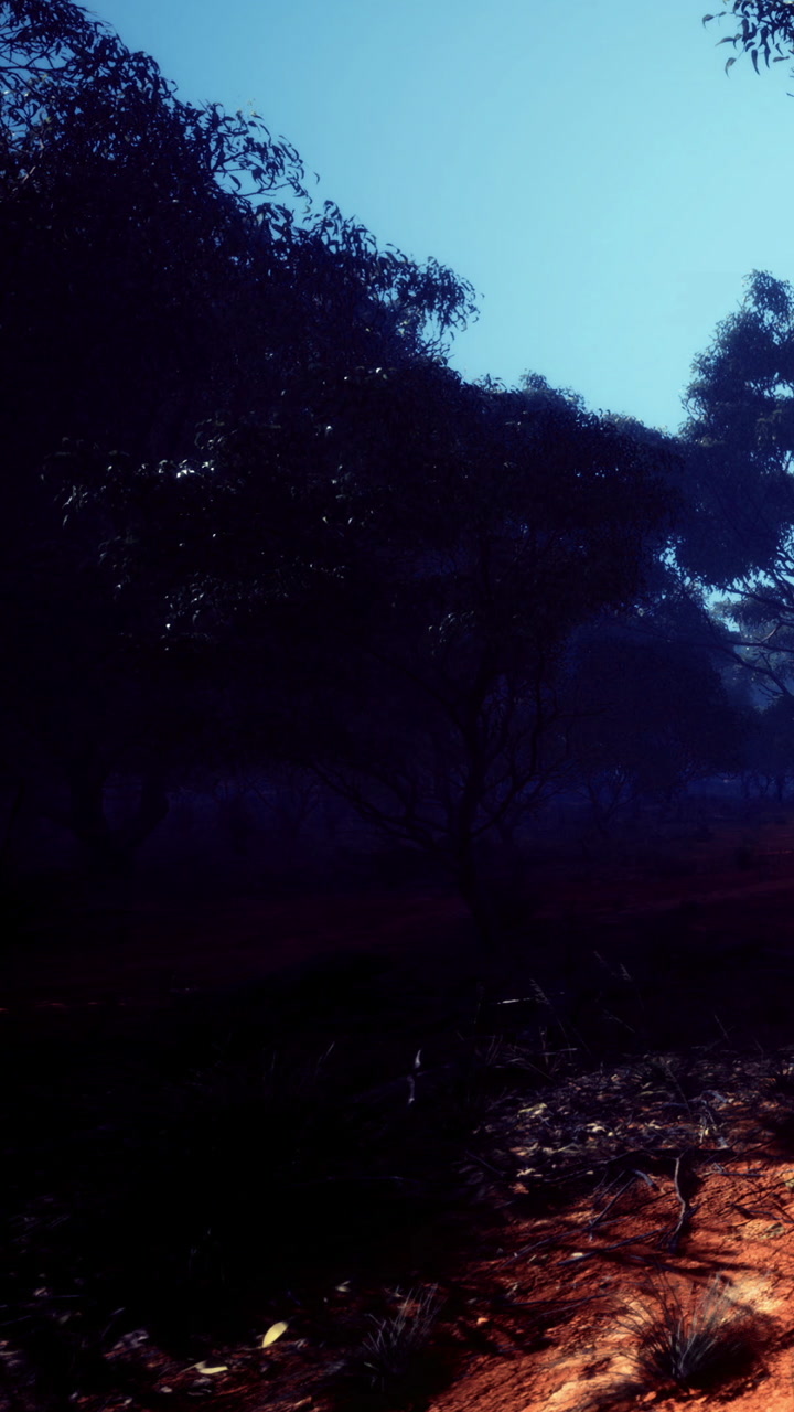 Mystical morning in a serene forest with soft blue hues and shadows