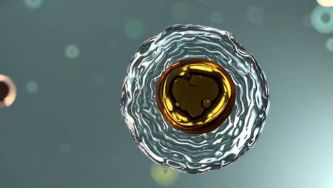 3d illustration of a cell