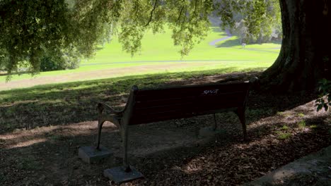 Empty-bench-in-a-green-park-during-daylight,-shade-spot-with-no-people-static-shot