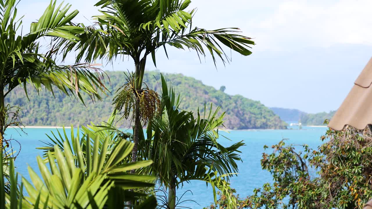 A serene tropical scene with palm trees and a vibrant blue ocean under clear skies. Captured in Phuket, Thailand
