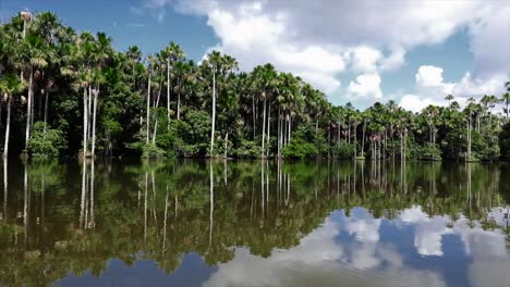 reflection of lake tambopata in peru