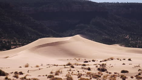 Sand-Weht-über-Dünen-Im-Zion-nationalpark