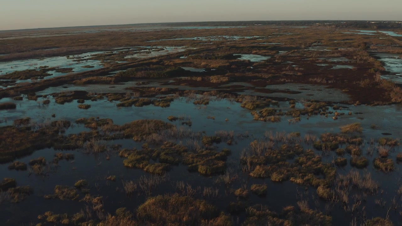 Filmato con drone che rivela le vaste paludi della Florida