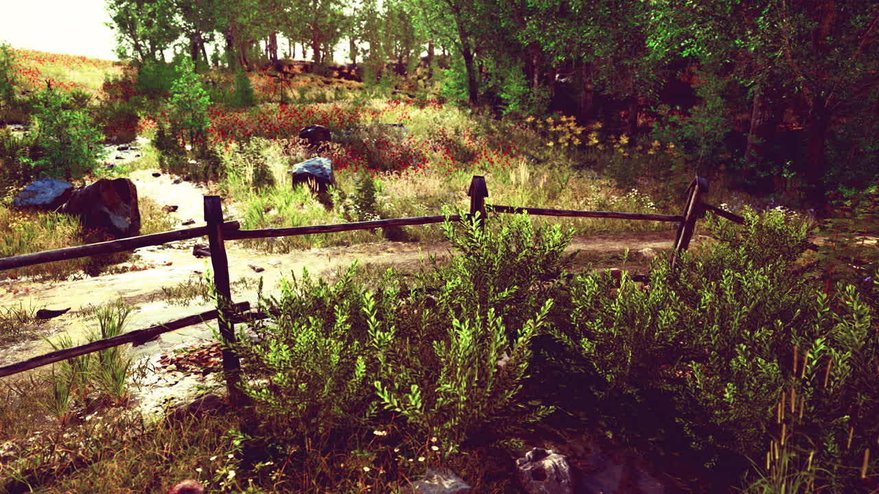 여름 시즌 에 시골 에 있는 오래된 나무 울타리 와  ⁇  도로