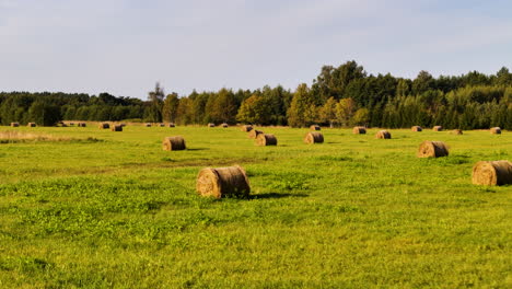 round hay bales rolled and scattered across a flat green pasture, meadow, field.