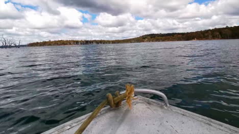 Capturing the beauty of the island’s pristine wilderness from a unique perspective. As the boat glides across the calm, reflective waters, viewers can see towering trees