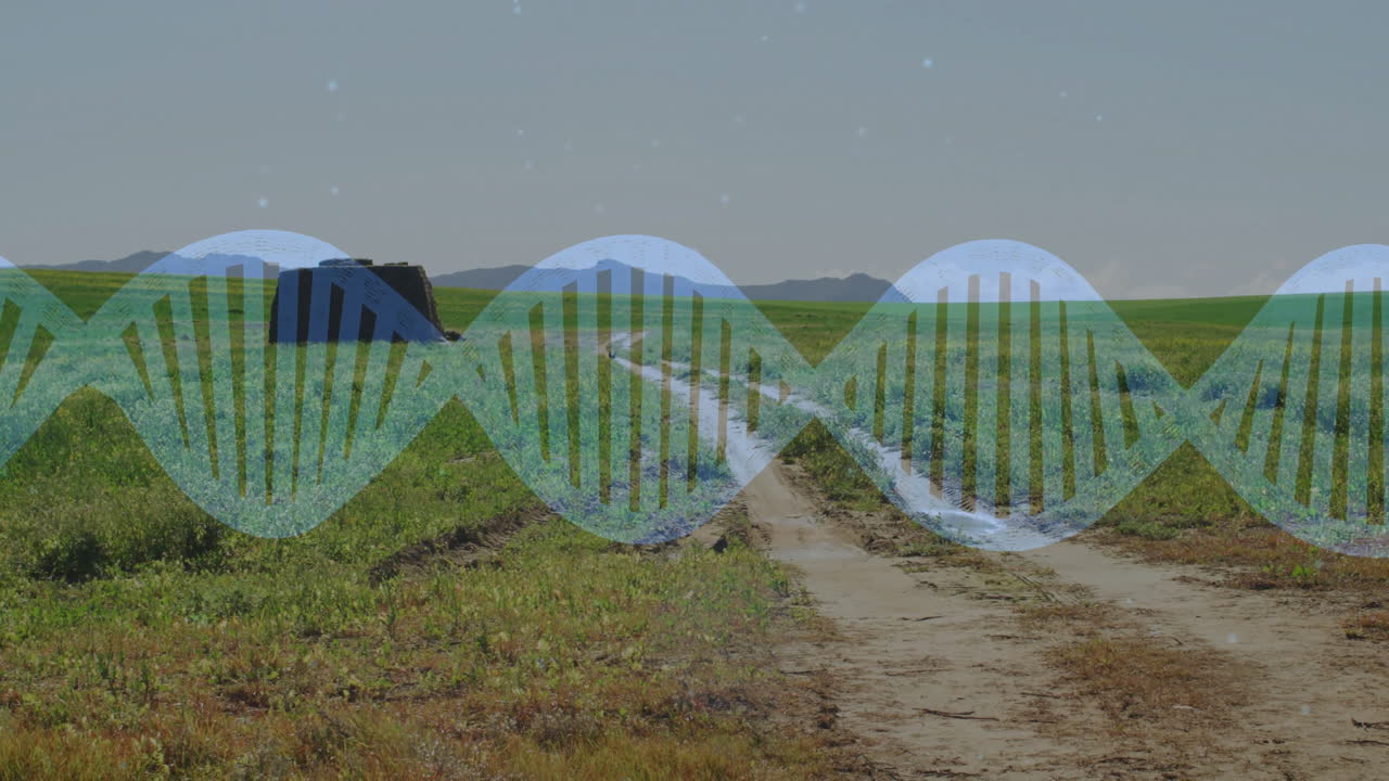 Dirt road cutting through green fields, digital DNA helix floating over rural farmland in 3D render