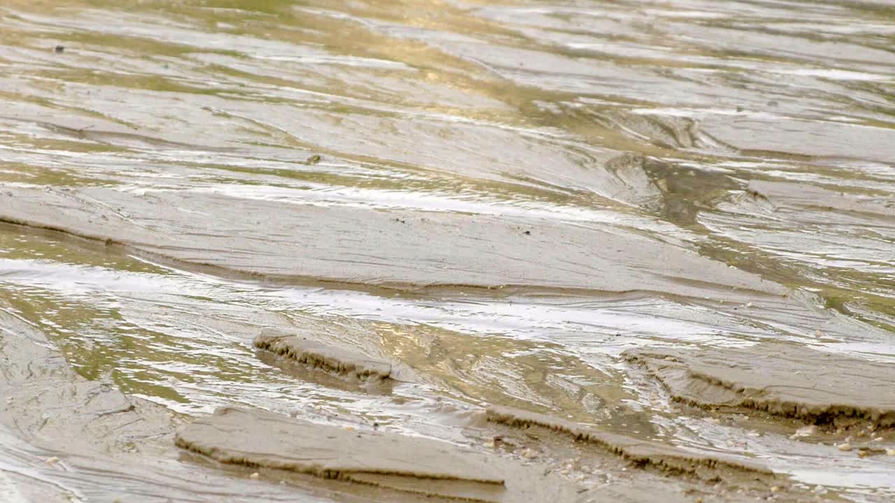 하롱 만, 베트남 - 물 흐름 에 의해 만들어진 작은 풍경 의 매혹적 인 풍경 - 근접