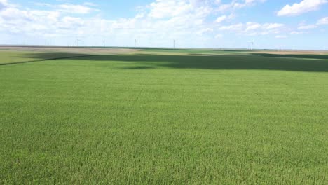 drone flying over corn field towards a wind farm