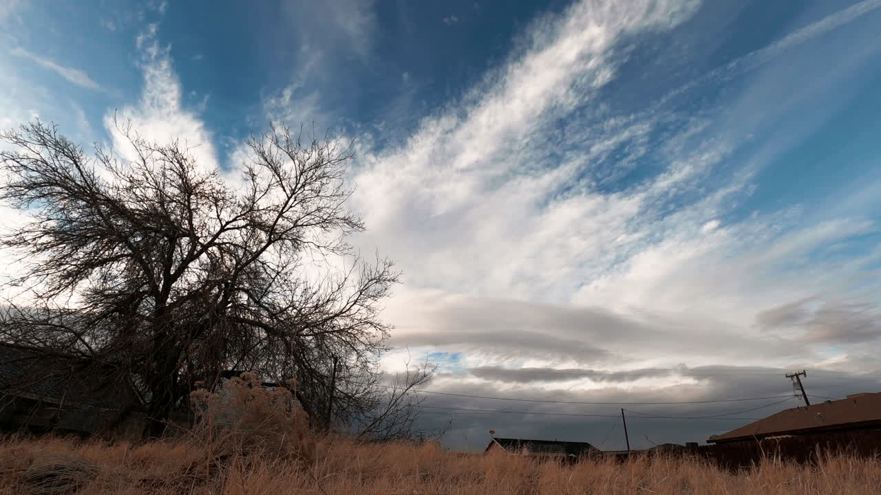 Timelapse di nuvole nel cielo blu sopra un campo d'erba gialla, albero spoglio e tetti