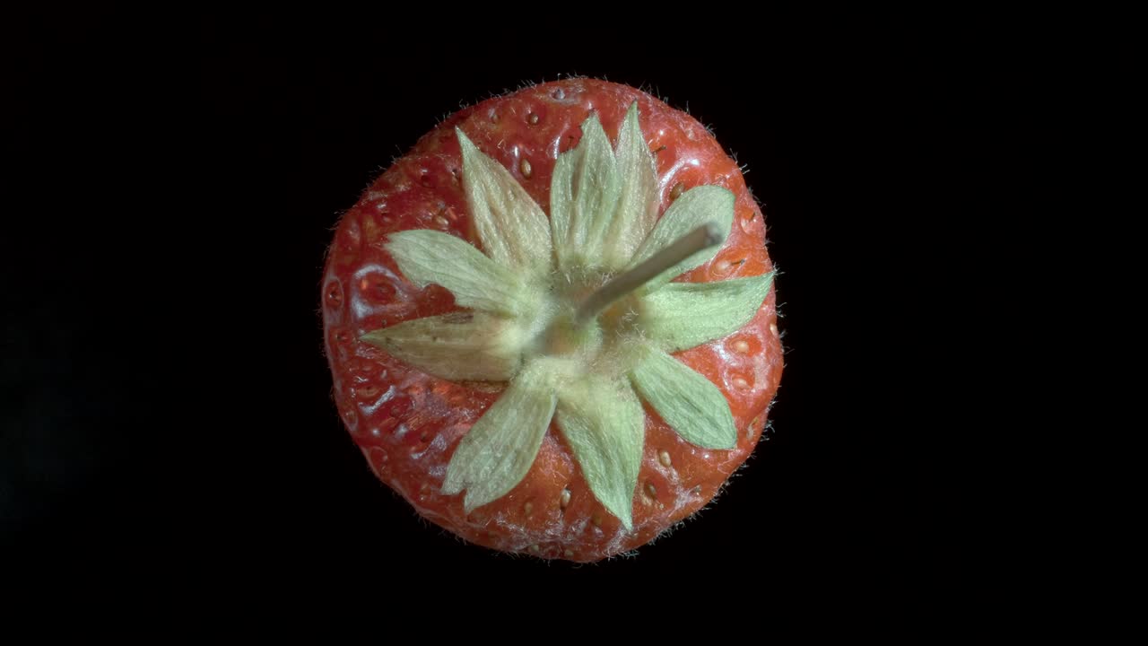 은 딸기, 은 꽃가루, 흑색 바탕에 고립되어 공중에 날아다니는 익은 딸기를 회전시키고, 클로즈업, 카메라 회전 360도.