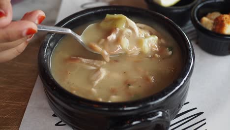 close up of a bowl of creamy chicken soup