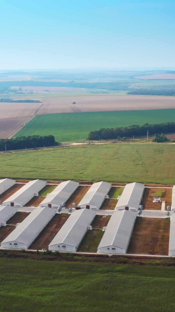Well-organized territories of farming facilities in farmlands. Long white barns at the site of agribusiness plant. Aerial view. Plantations at backdrop. Vertical video