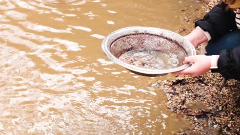 person panning for gold in muddy water