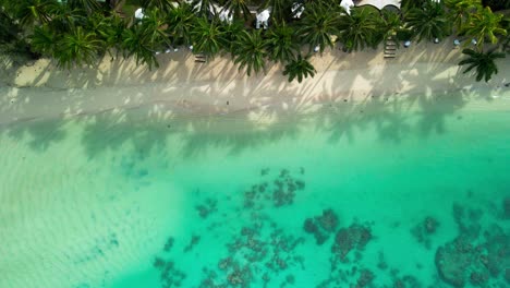 slow mo cinematic waves rolling in to shore at sunrise with shadows across the water of tropical palm trees