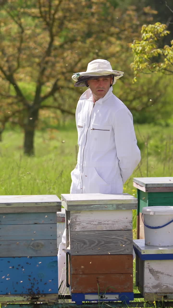 Apicoltore in uniforme che lavora in un apiario. Favidi agricoli biologici estivi