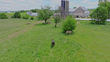aerial shot of a picturesque amish farm with horses grazing, in rural pennsylvania with green fields and blue sky atmospheric lighting captivating scenes vibrant colors rich detail