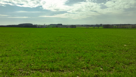 Aerial-shot-of-a-green-field-with-beautiful-skyscape