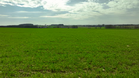 aerial shot of a green field with beautiful skyscape