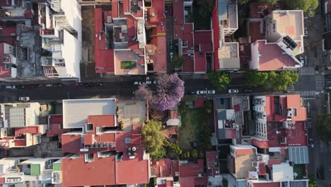 rooftops in a cdmx neighborhood, seen from a drone
