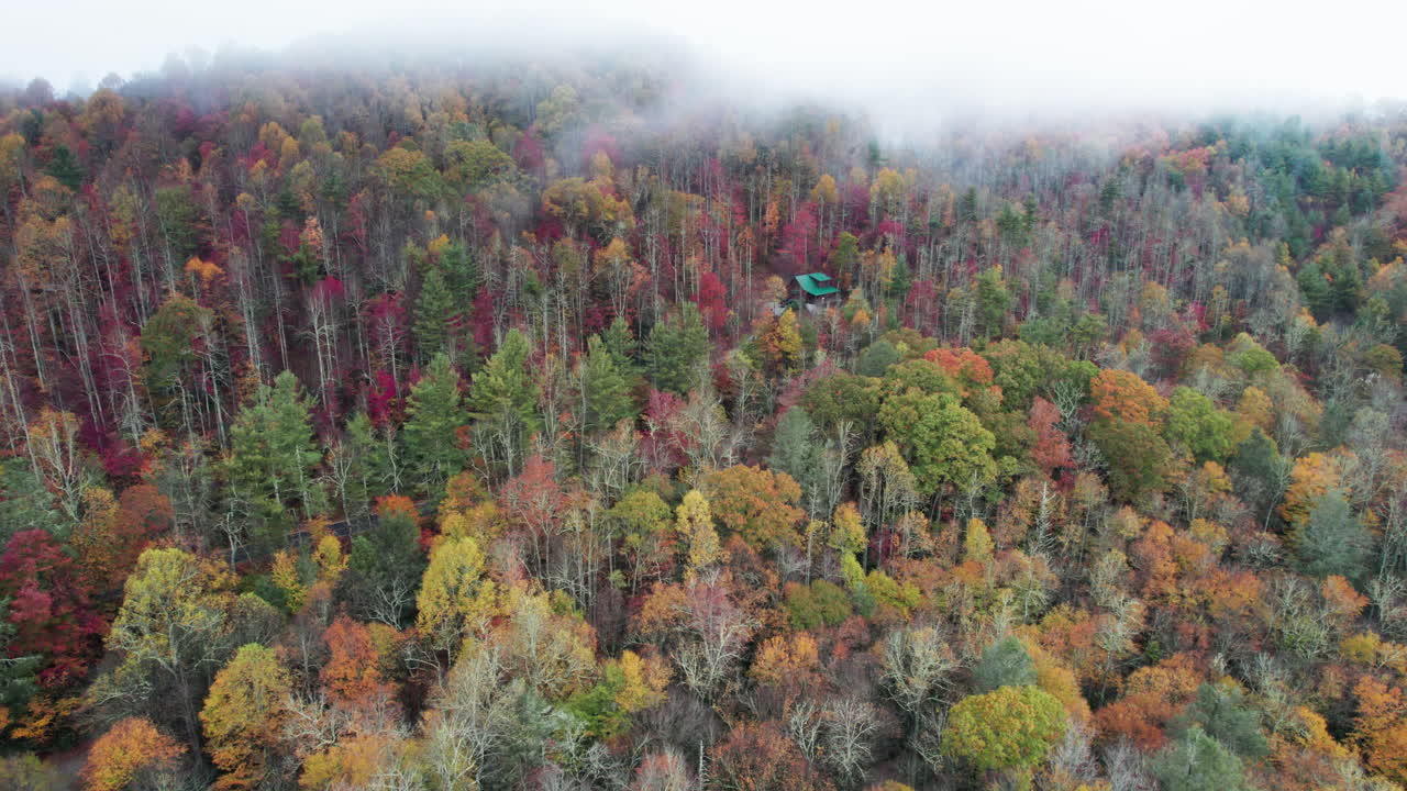 tiro de dron de los colores de la montaña de otoño en las grandes montañas humeantes de carolina del norte, con cabaña de montaña en el bosque
