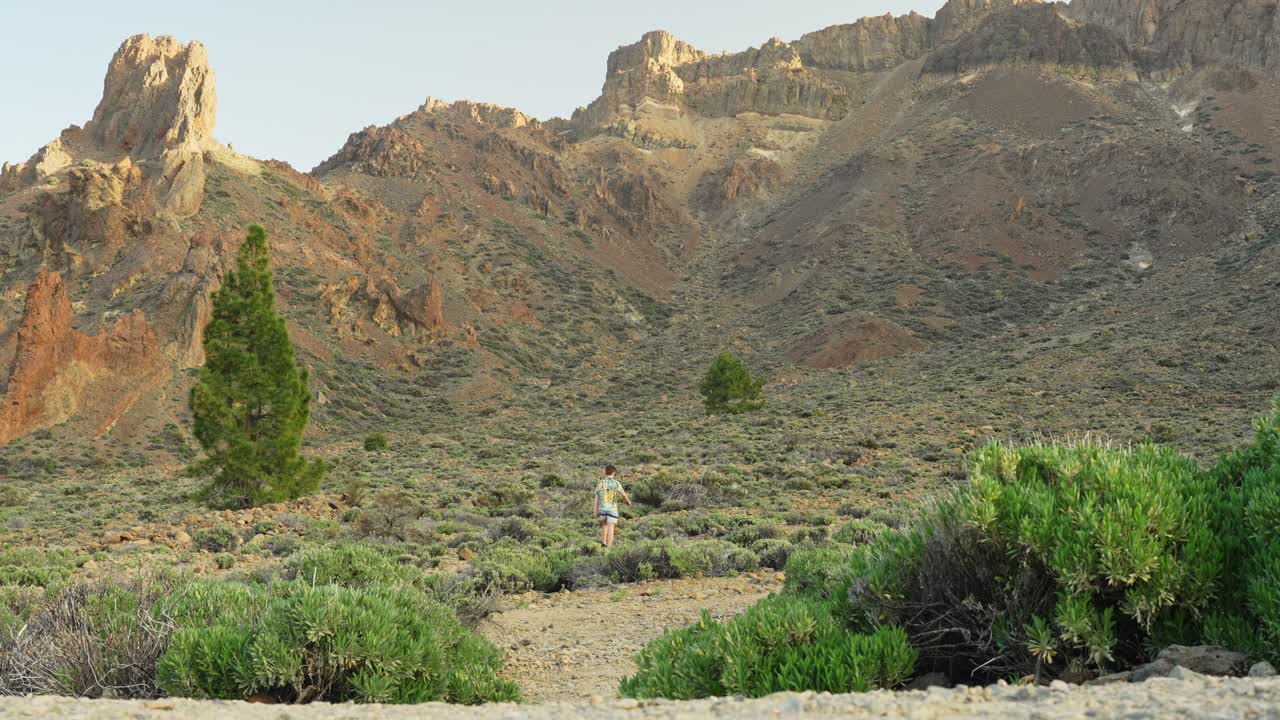 A Lone Traveler Walks and Explores the Barren Terrain of Tenerife's Iconic Peak