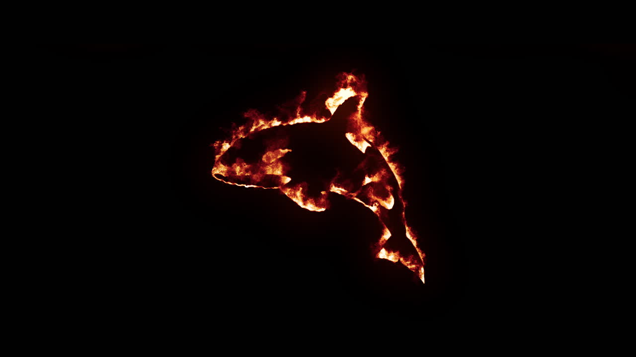 Realistisk brandeffekt af spækhuggersilhuet med brændende flammer på sort baggrund