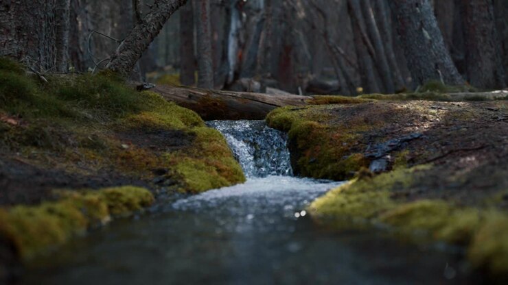 Kananaskis, Alberta, Kanada'da küçük bir dere