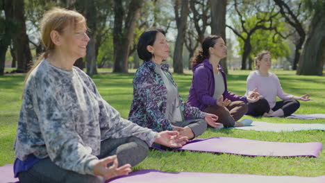 group meditation in a park
