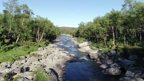 vuelo a través de un corredor fluvial en las montañas de verano
