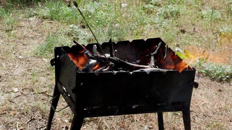 brazier barbecue grill in forest 4k