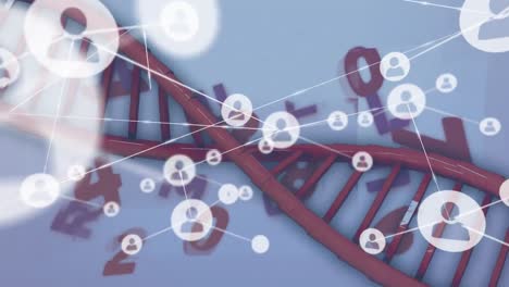 Animation-of-network-of-connections-over-dna-code