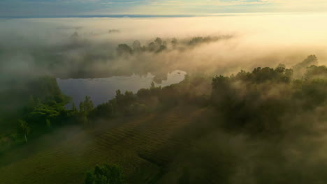 Paisaje-Aéreo-Panorámico-Dorado-De-Cielo-Soleado,-Campos-Nublados,-Lago,-Niebla-Boscosa