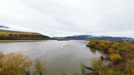 experience the breathtaking beauty of the lena river in yakutia during autumn, showcasing colorful foliage and peaceful water reflections from above