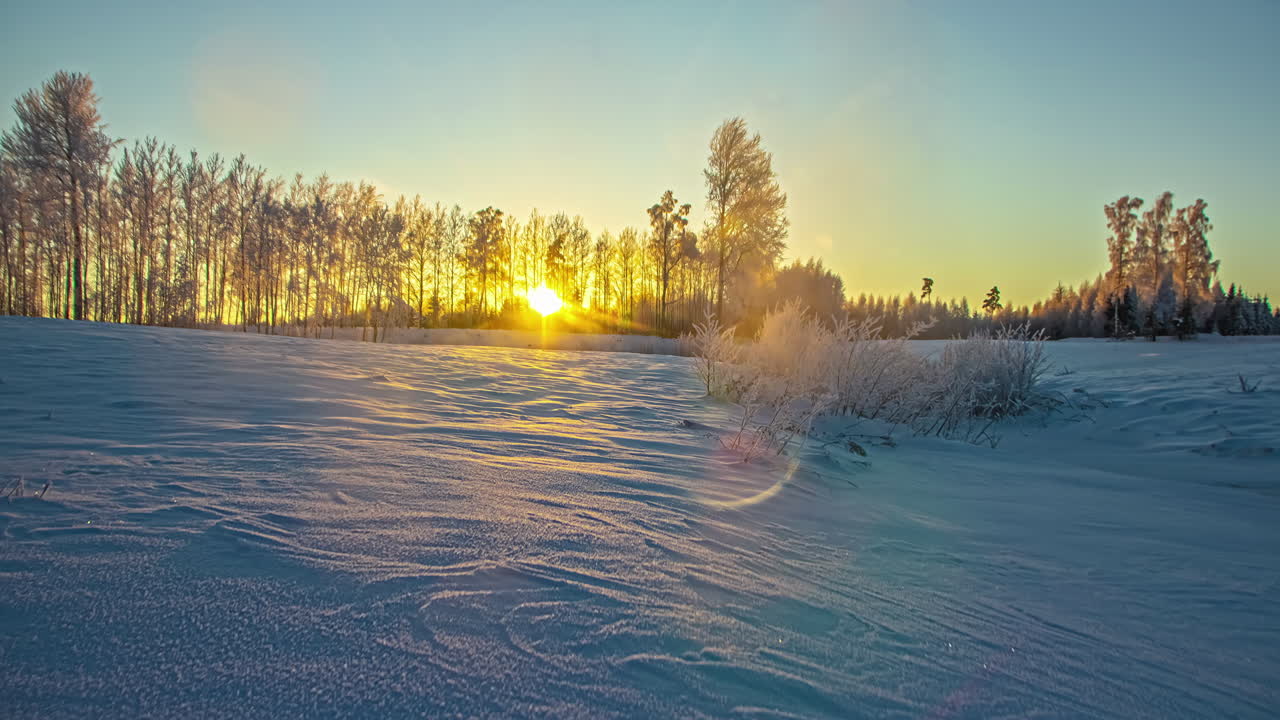 Tidsforløbsoptagelse af solen, der går ned bag bladløse, sneklædte træer på en kold vinterdag i naturen – Blå time med lilla himmel og flyvende skyer.